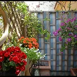 Lilium Boutique